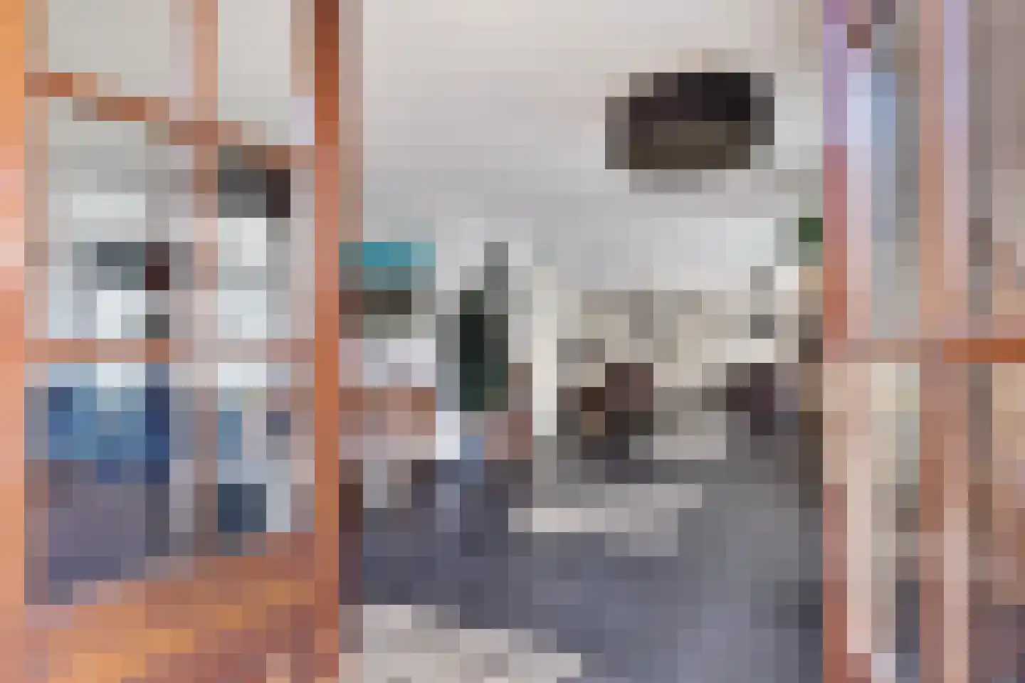 De Gors 1 Heerjansdam thumbnail 20