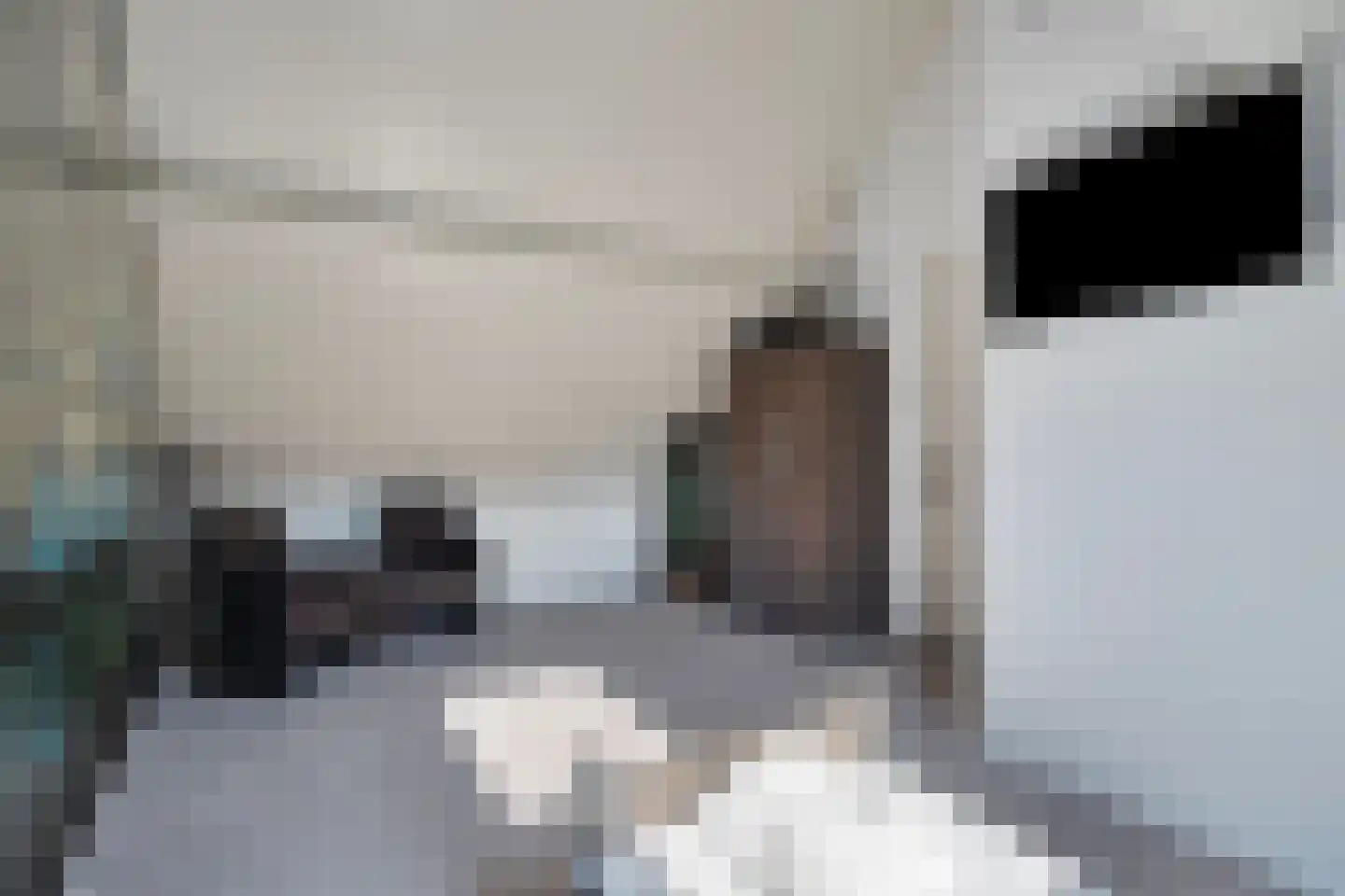 De Gors 1 Heerjansdam thumbnail 24