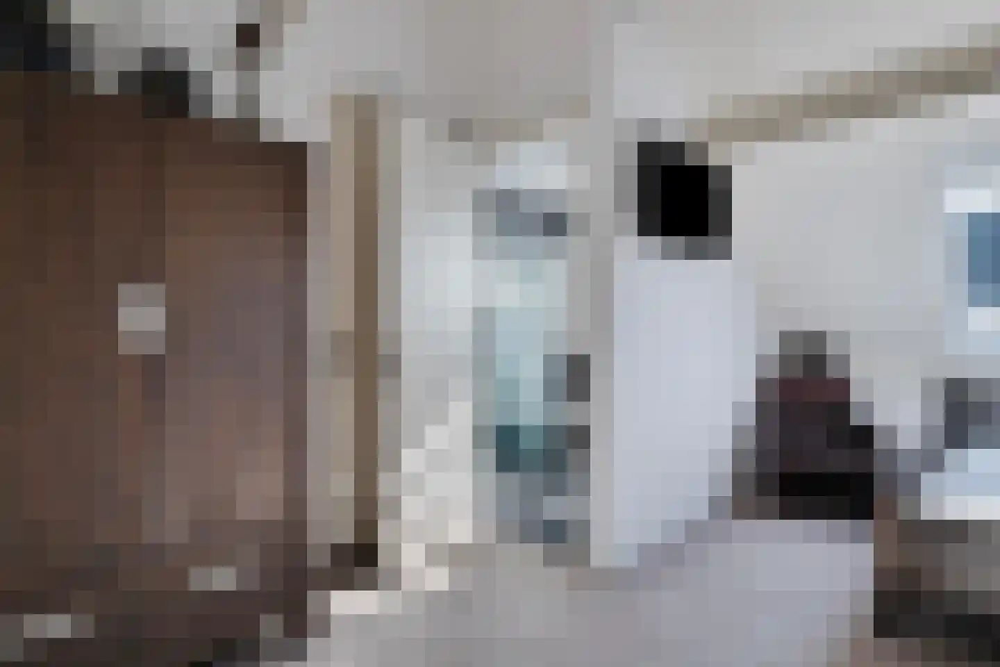 De Gors 1 Heerjansdam thumbnail 25