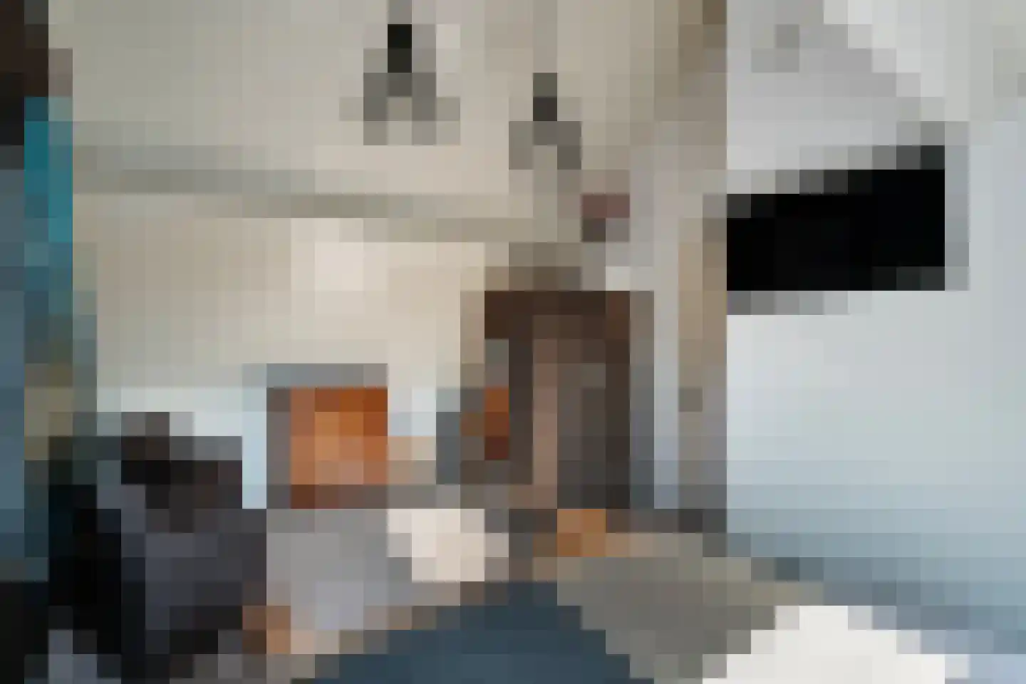 De Gors 1 Heerjansdam thumbnail 30