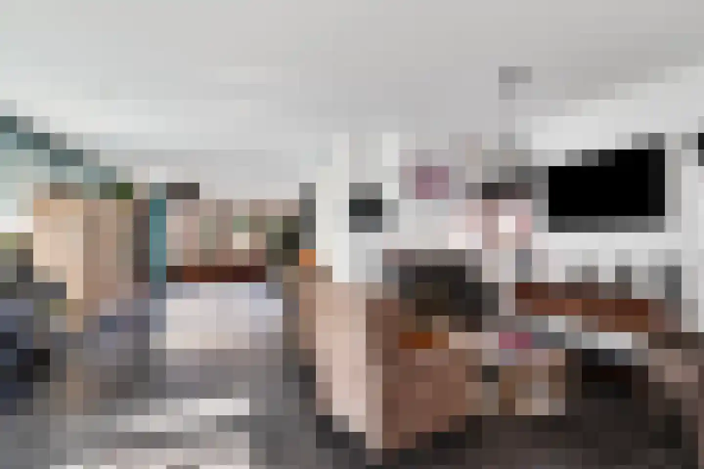 De Gors 1 Heerjansdam thumbnail 4