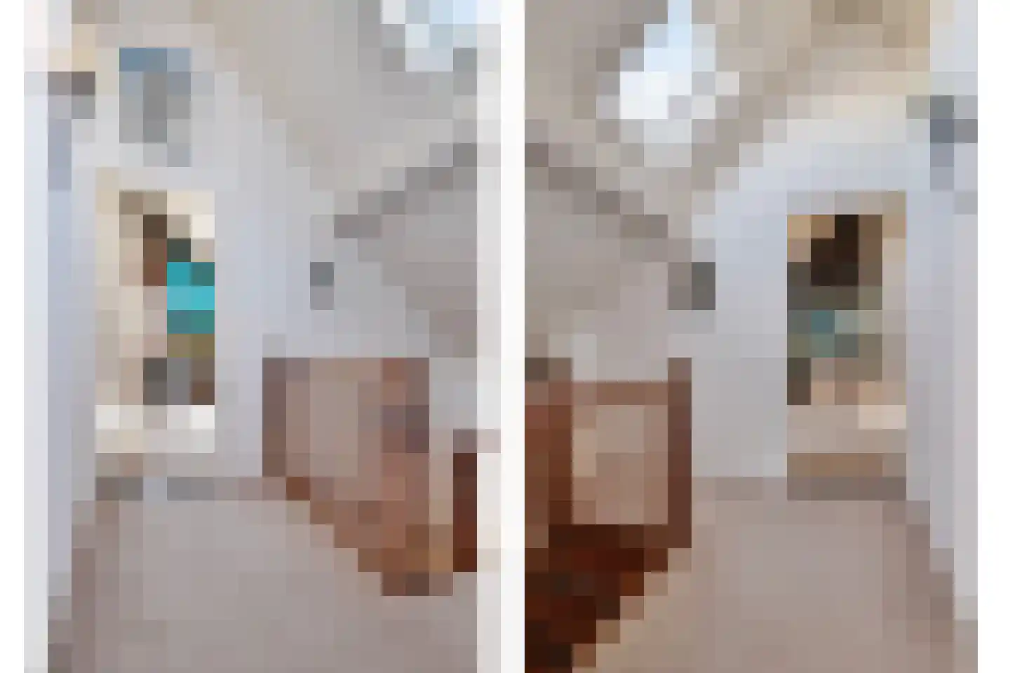 De Gors 1 Heerjansdam thumbnail 42