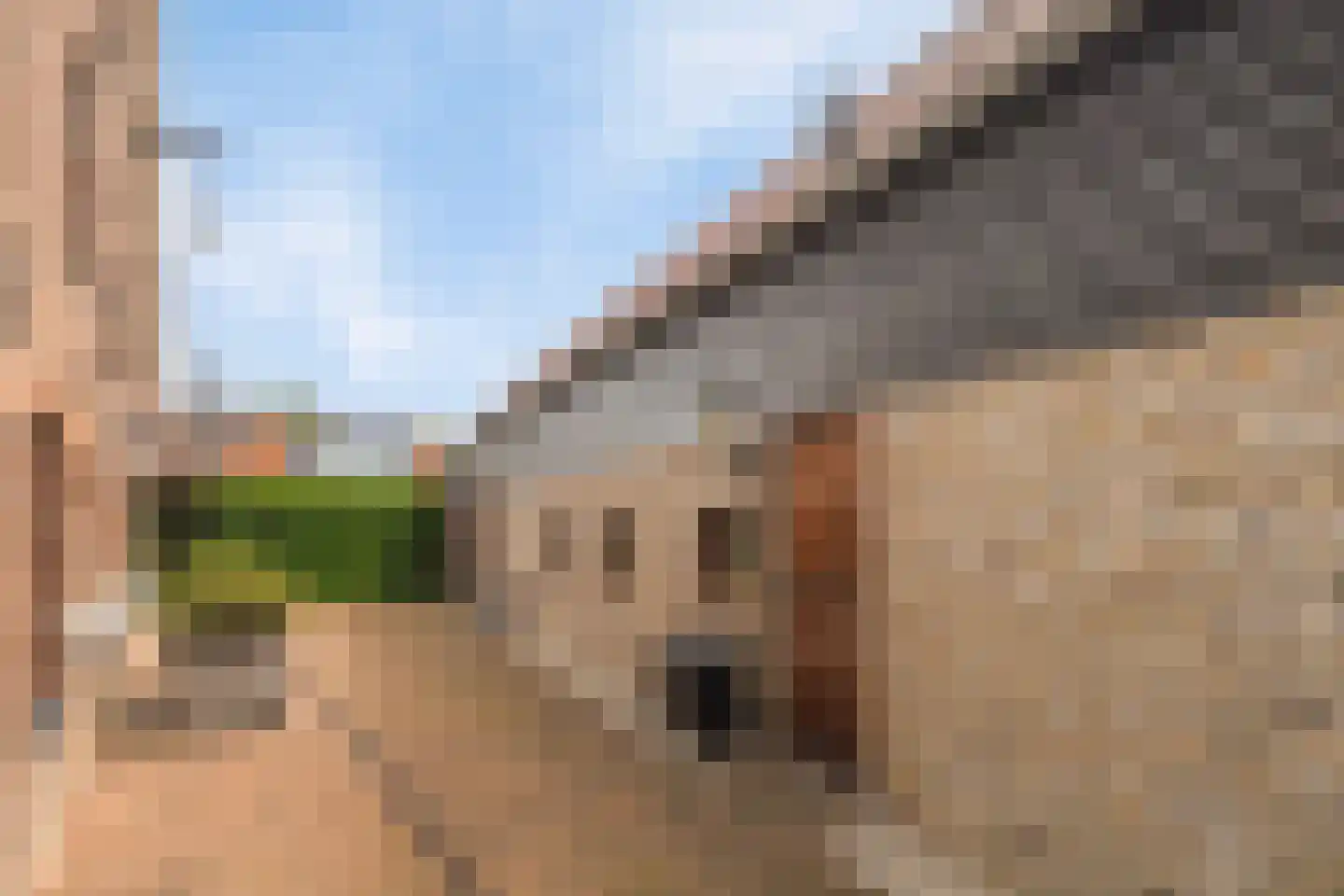 De Gors 1 Heerjansdam thumbnail 44