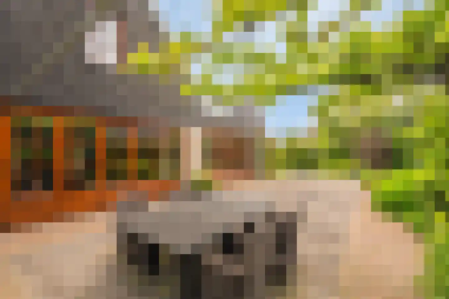 De Gors 1 Heerjansdam thumbnail 46