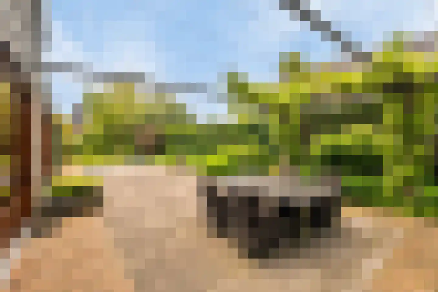 De Gors 1 Heerjansdam thumbnail 47