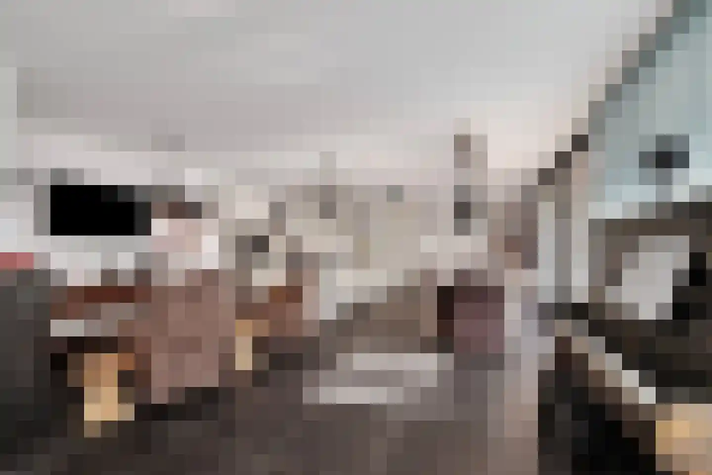 De Gors 1 Heerjansdam thumbnail 5