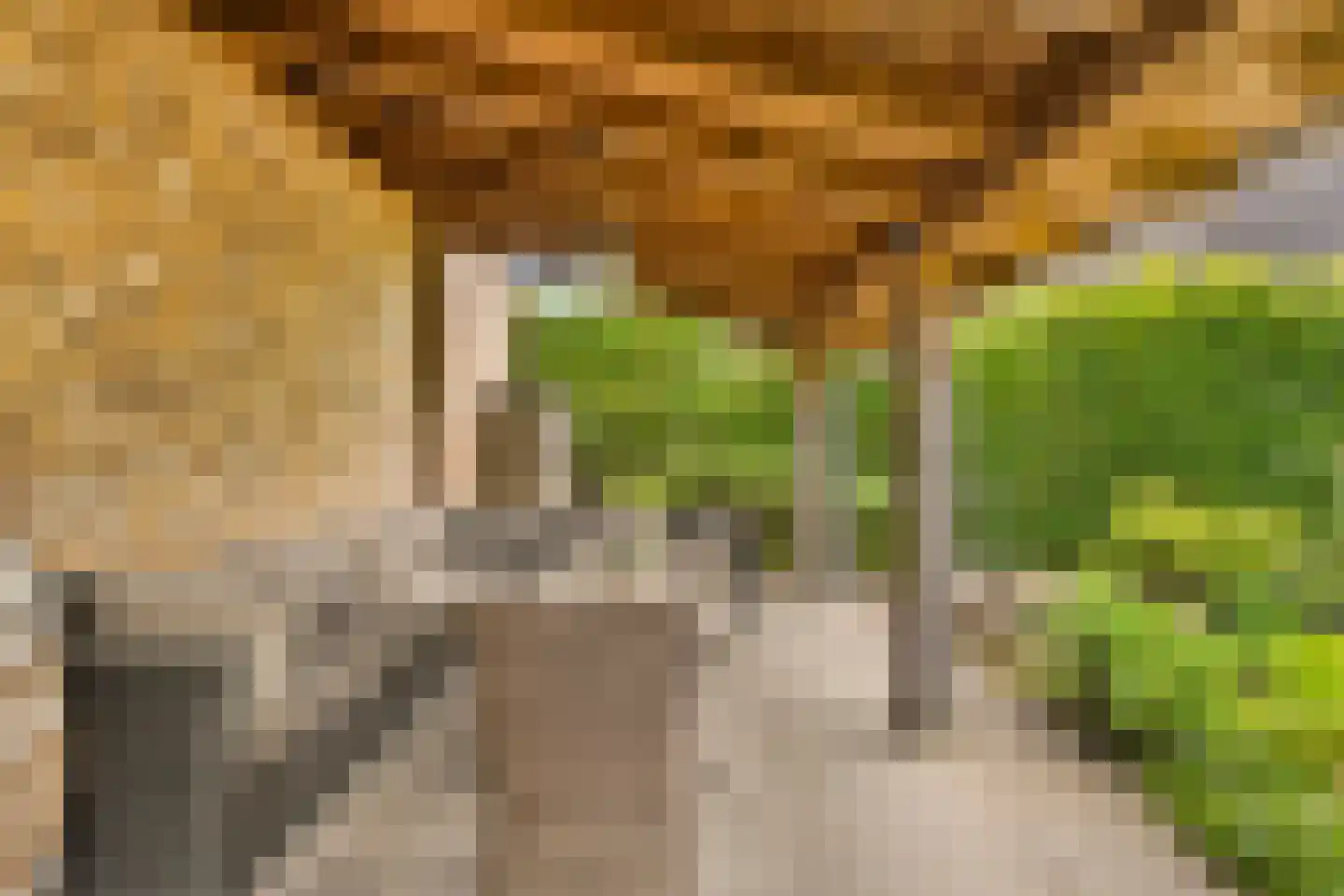 De Gors 1 Heerjansdam thumbnail 50