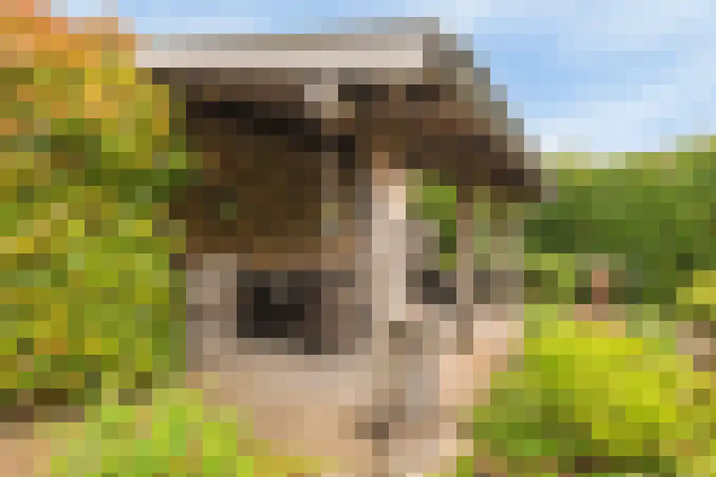 De Gors 1 Heerjansdam thumbnail 51