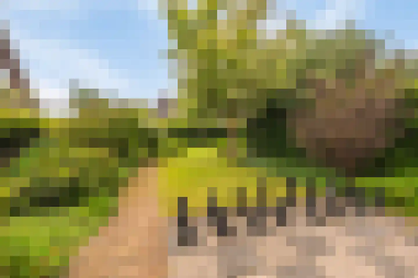 De Gors 1 Heerjansdam thumbnail 53