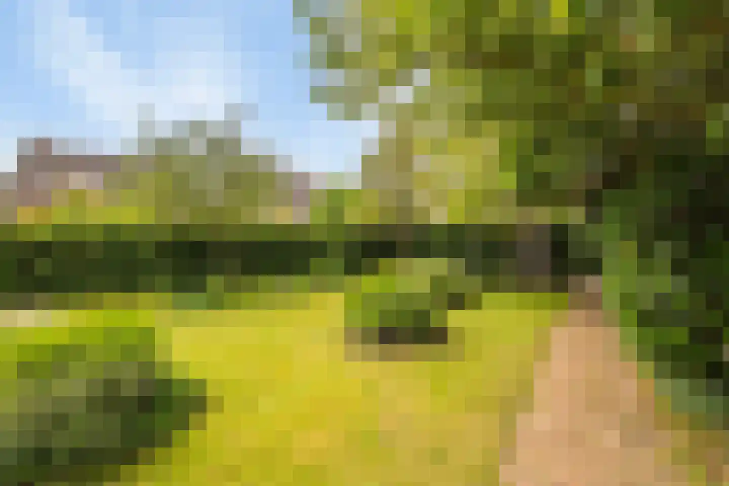 De Gors 1 Heerjansdam thumbnail 55