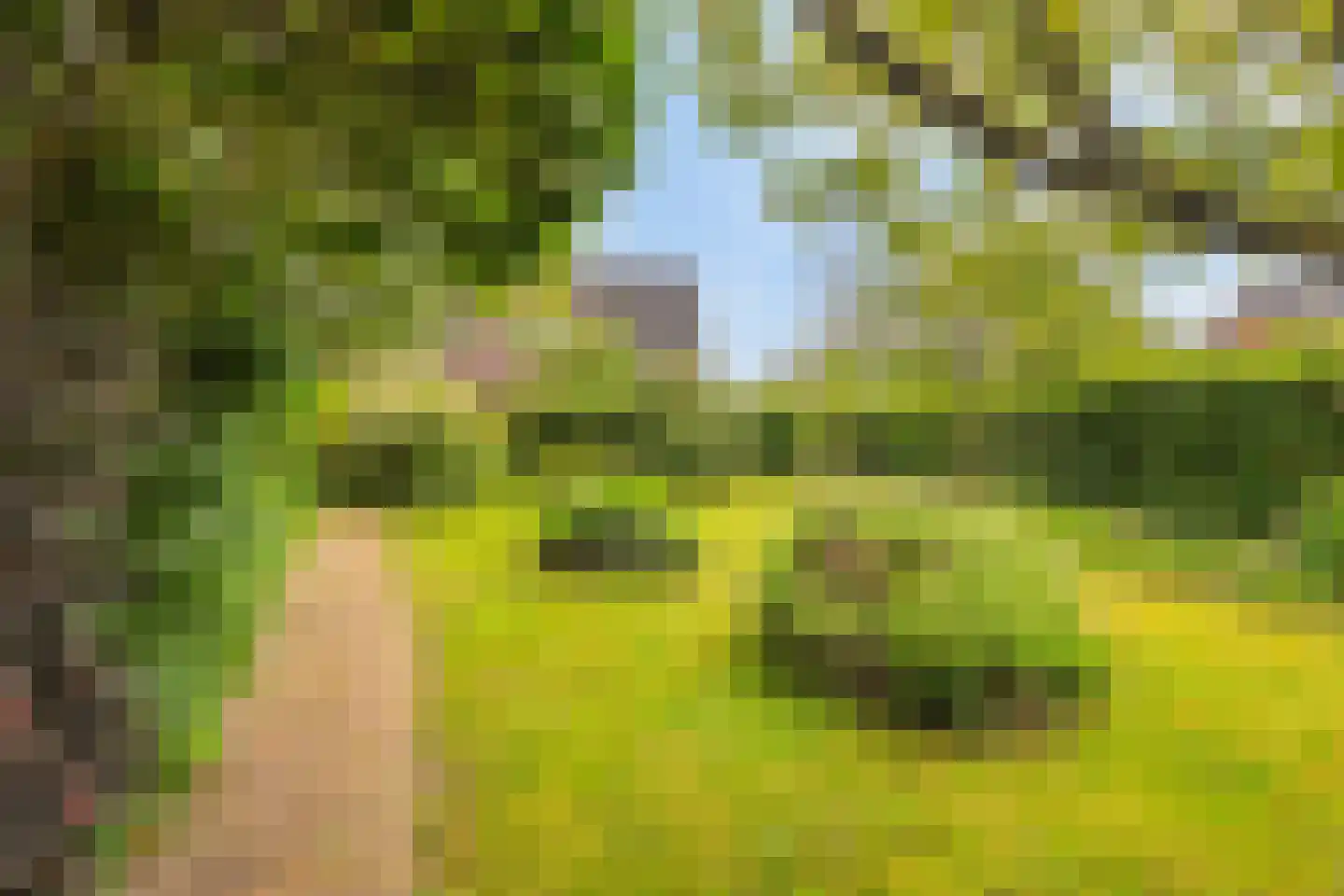 De Gors 1 Heerjansdam thumbnail 56