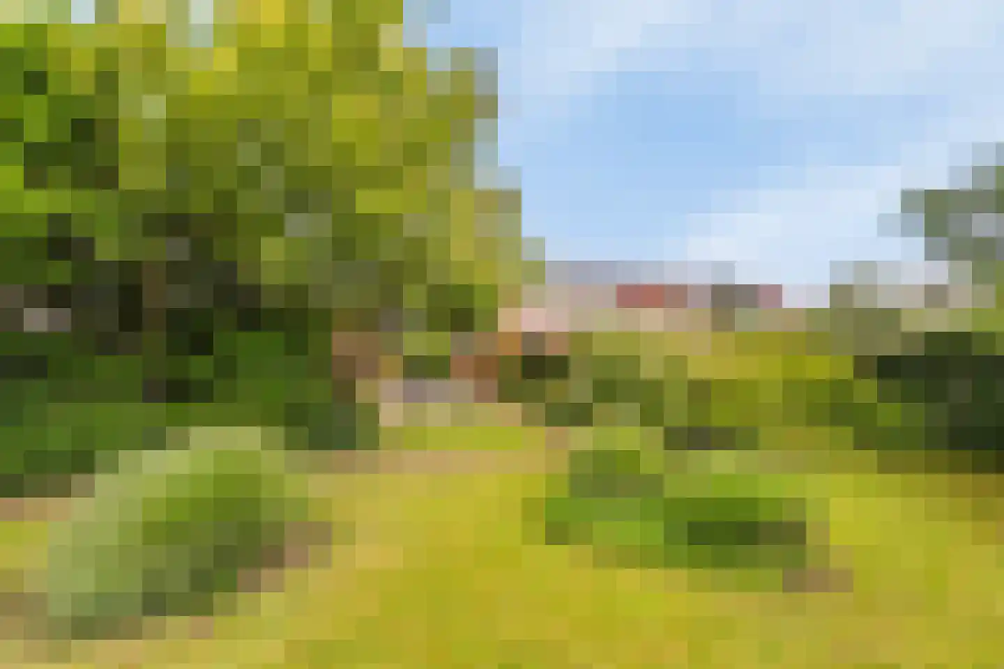 De Gors 1 Heerjansdam thumbnail 57