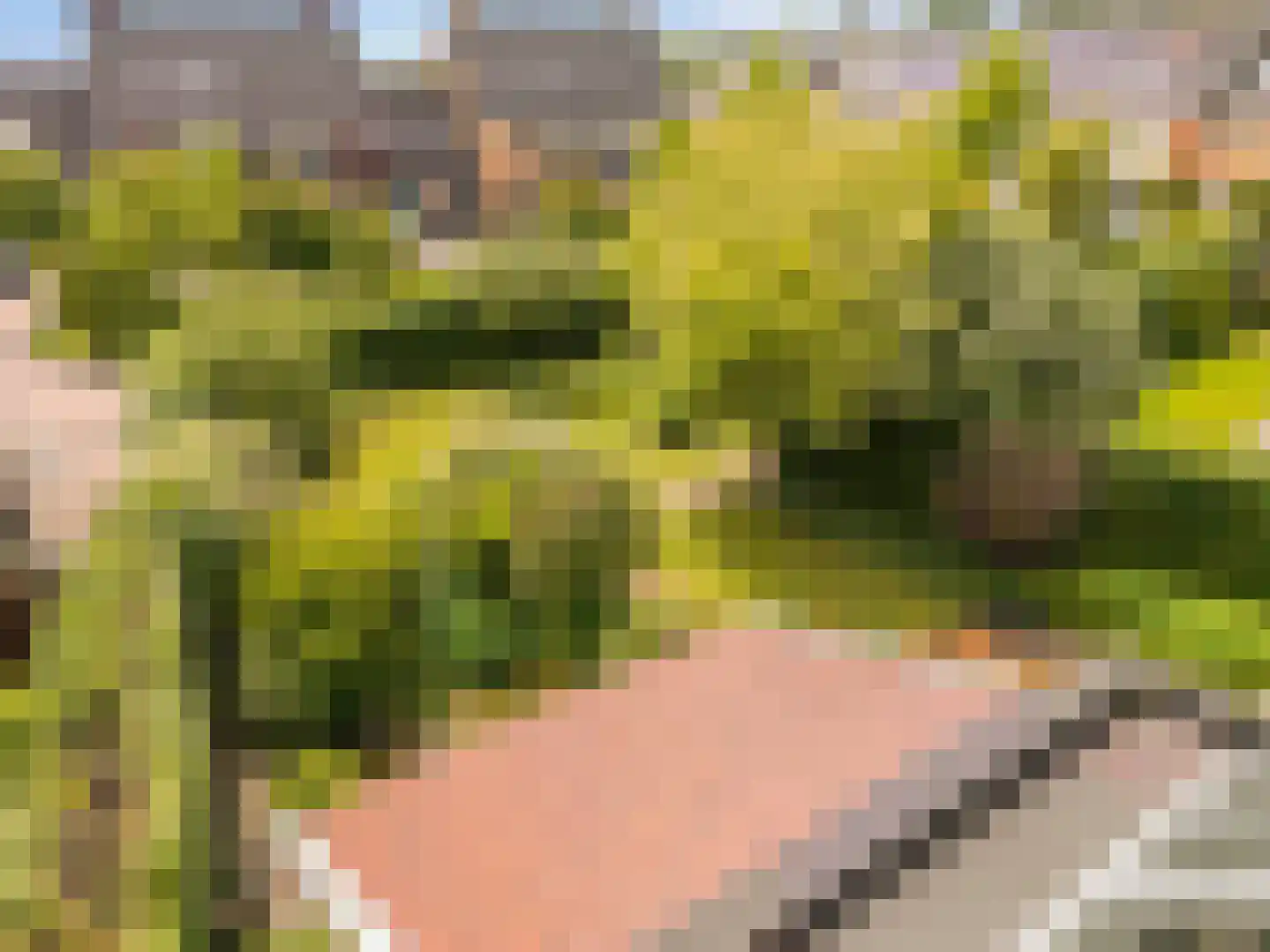 De Gors 1 Heerjansdam thumbnail 58