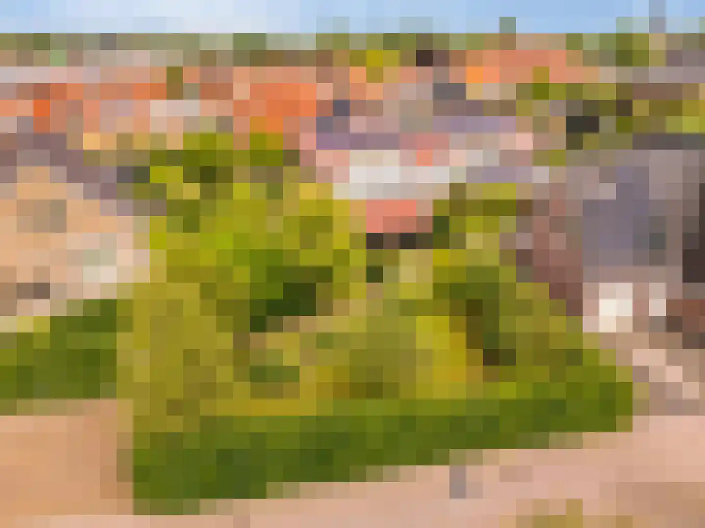 De Gors 1 Heerjansdam thumbnail 59