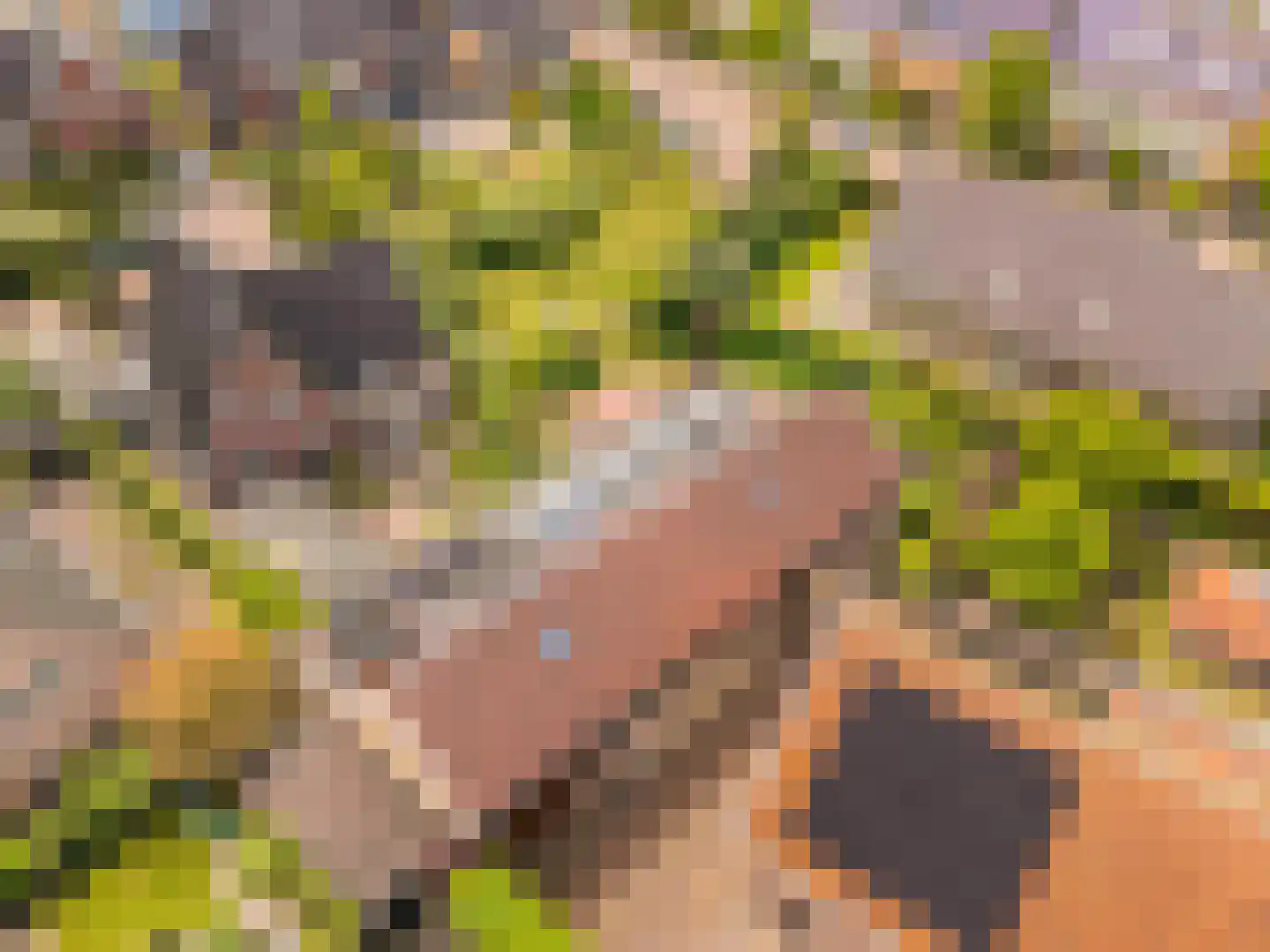 De Gors 1 Heerjansdam thumbnail 60
