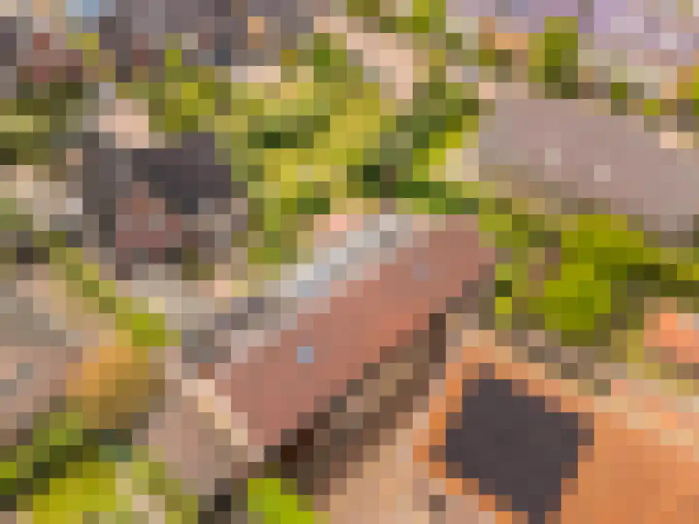 De Gors 1 Heerjansdam thumbnail 61