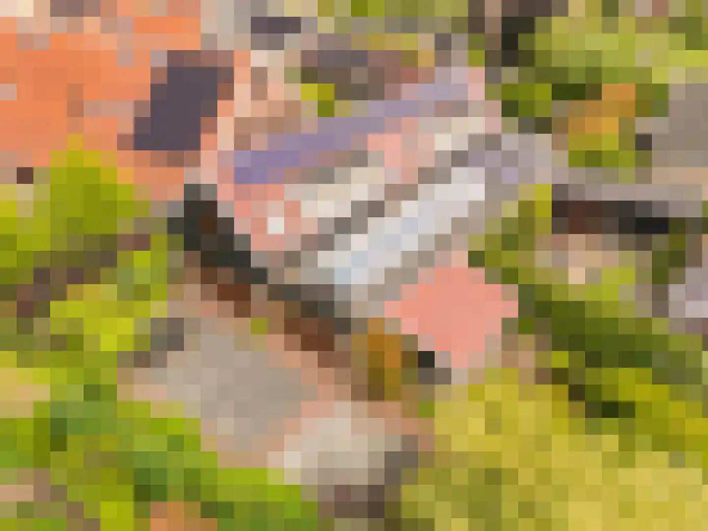 De Gors 1 Heerjansdam thumbnail 64
