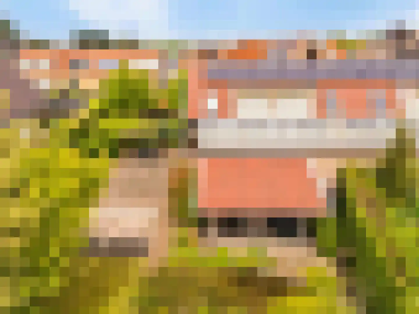 De Gors 1 Heerjansdam thumbnail 65
