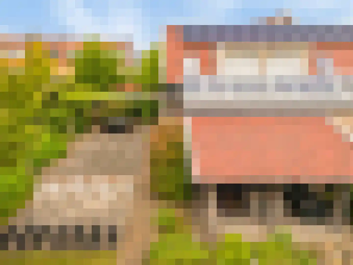 De Gors 1 Heerjansdam thumbnail 66