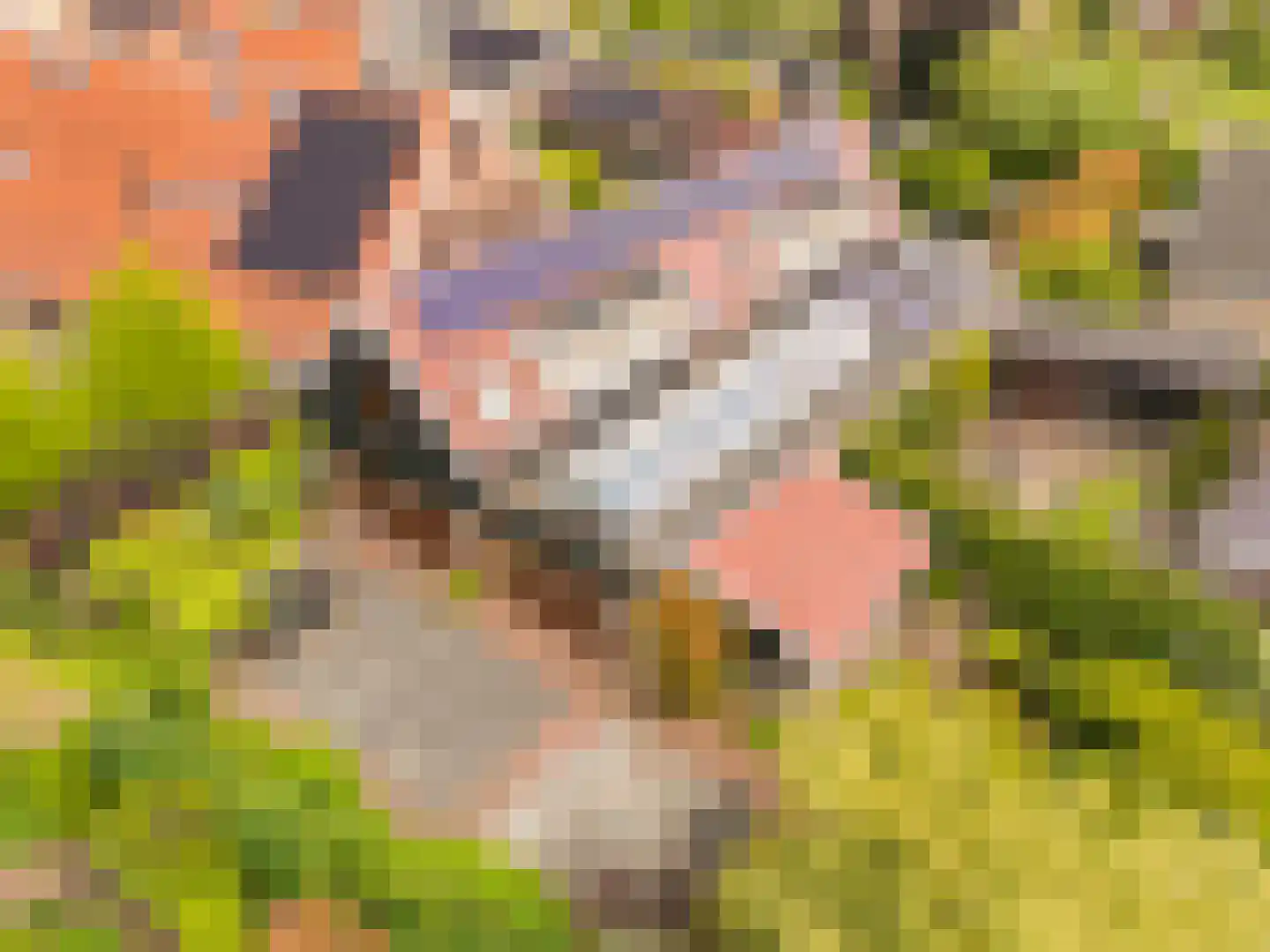 De Gors 1 Heerjansdam thumbnail 67