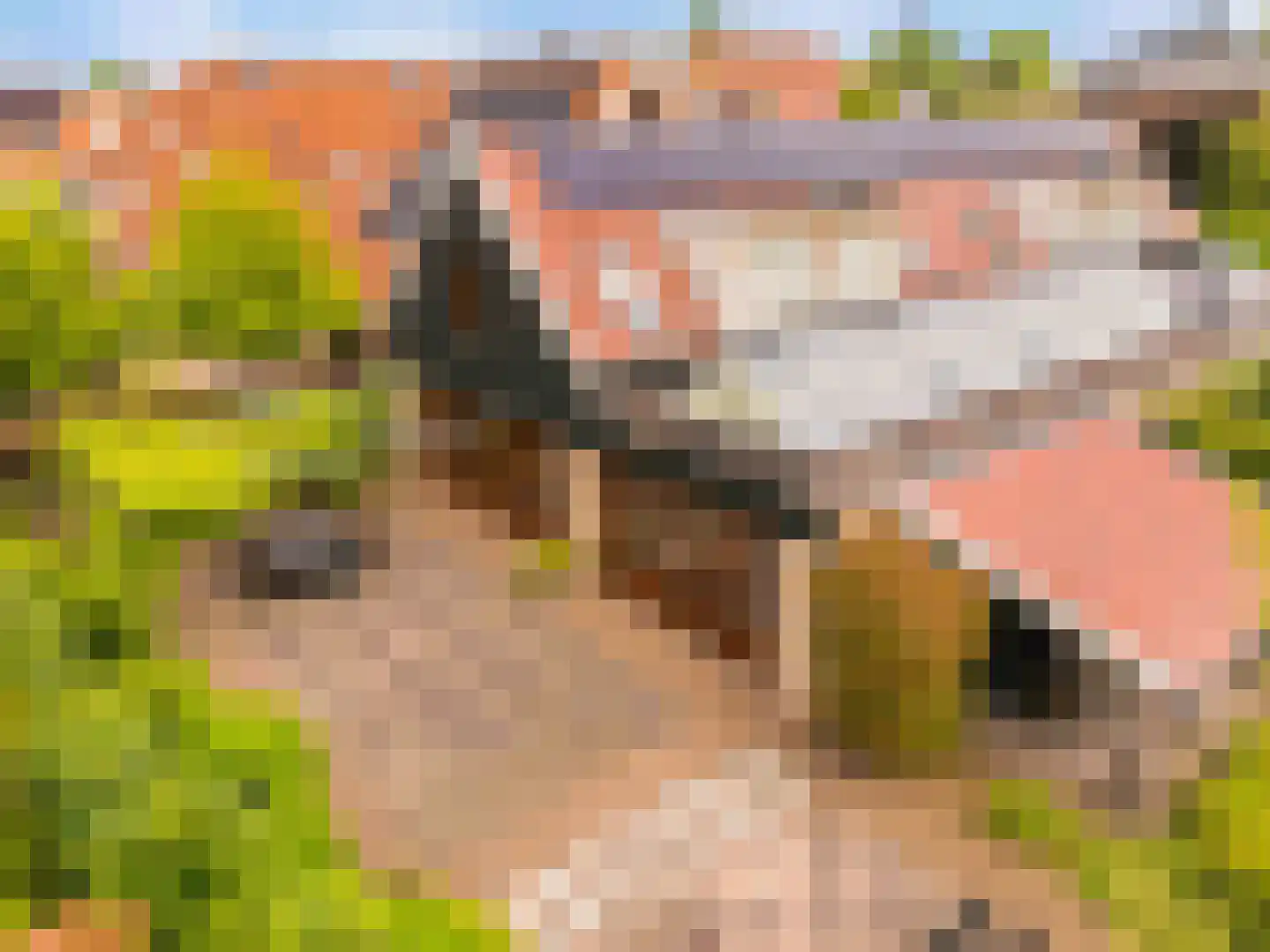 De Gors 1 Heerjansdam thumbnail 68