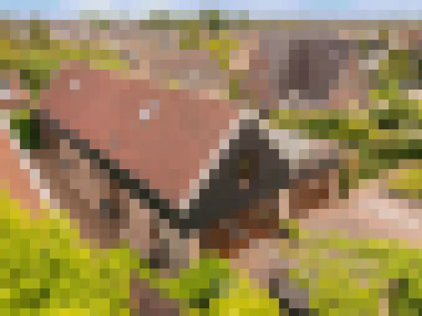 De Gors 1 Heerjansdam thumbnail 69