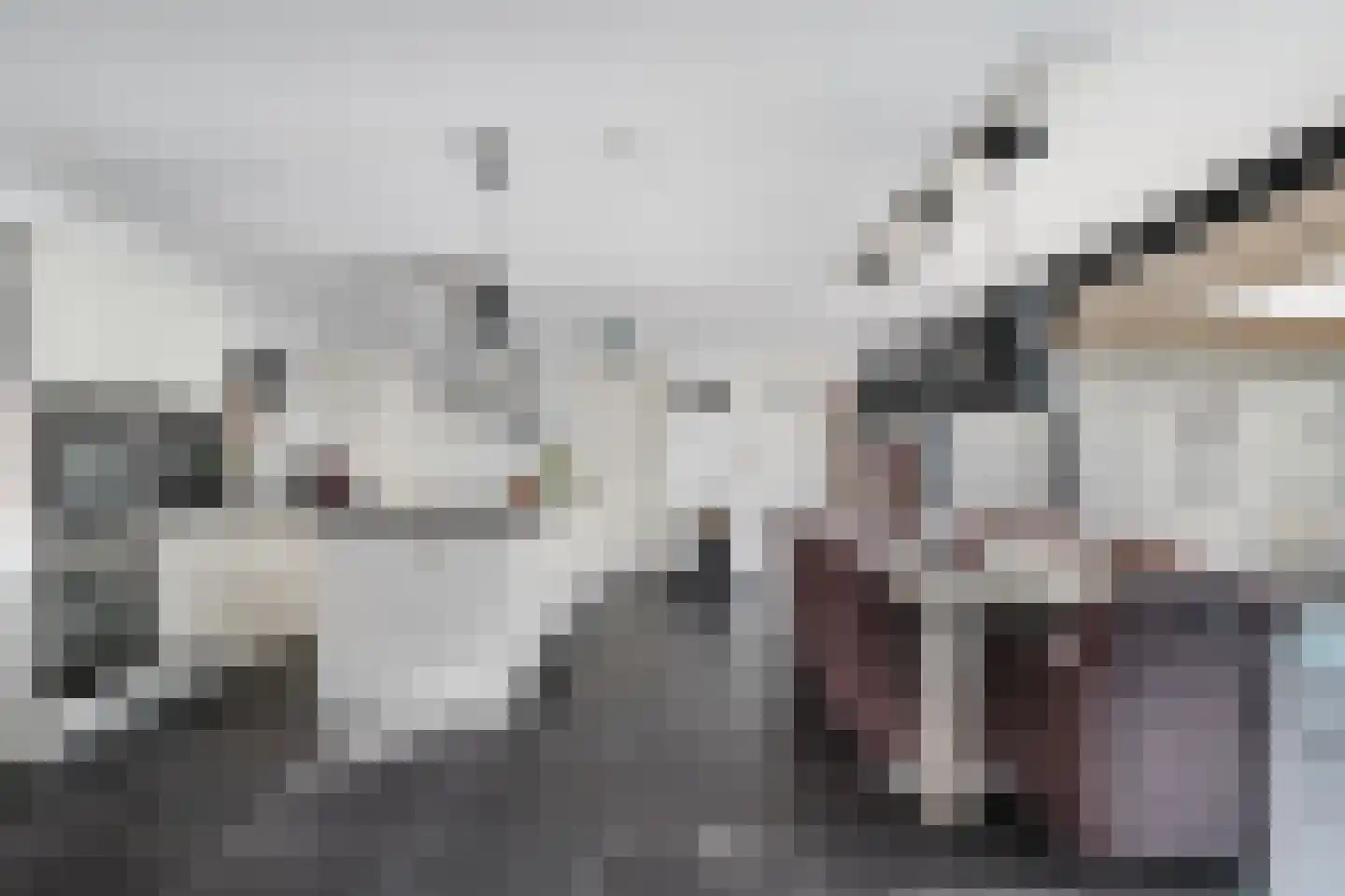 De Gors 1 Heerjansdam thumbnail 7