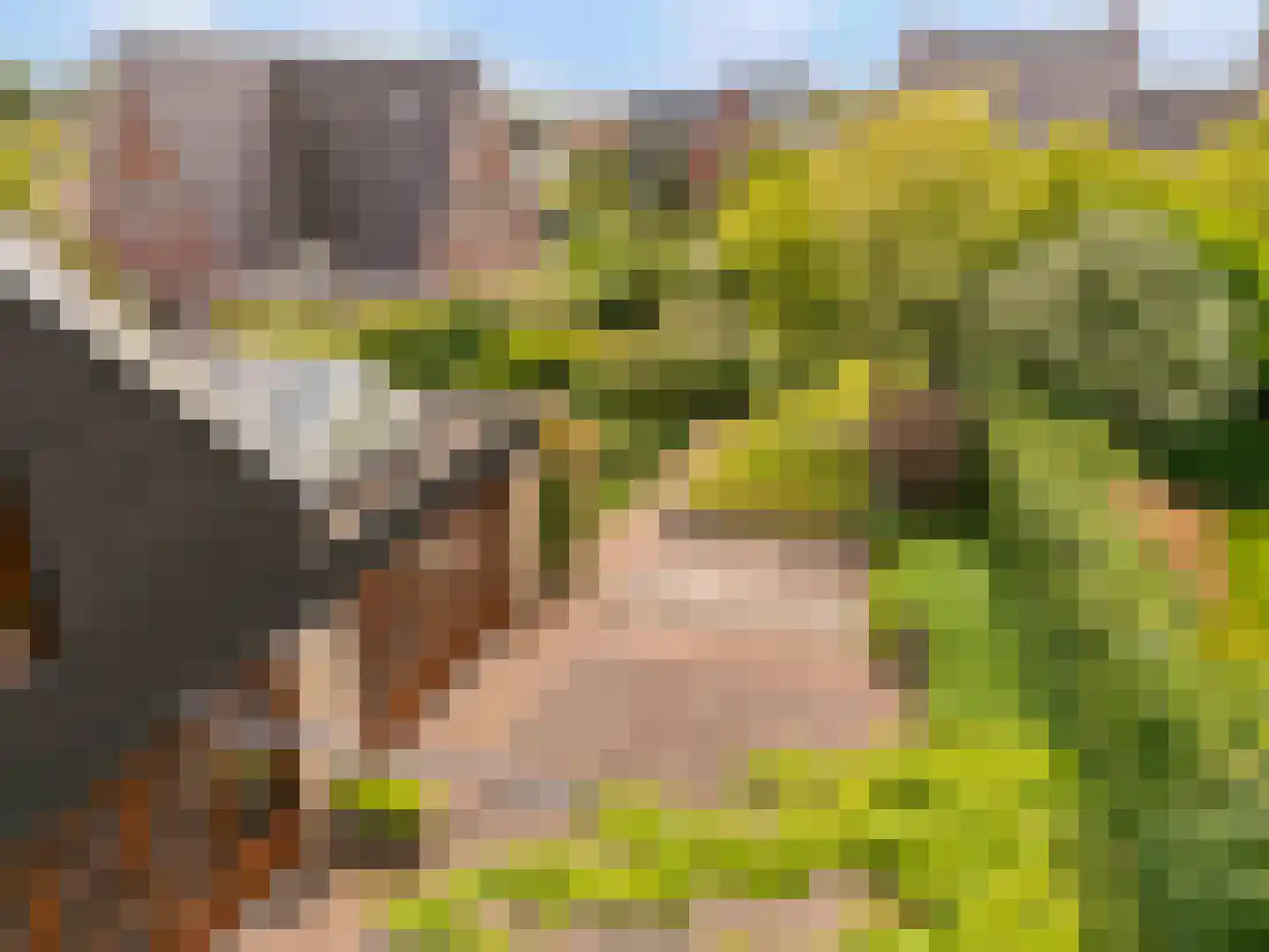 De Gors 1 Heerjansdam thumbnail 70