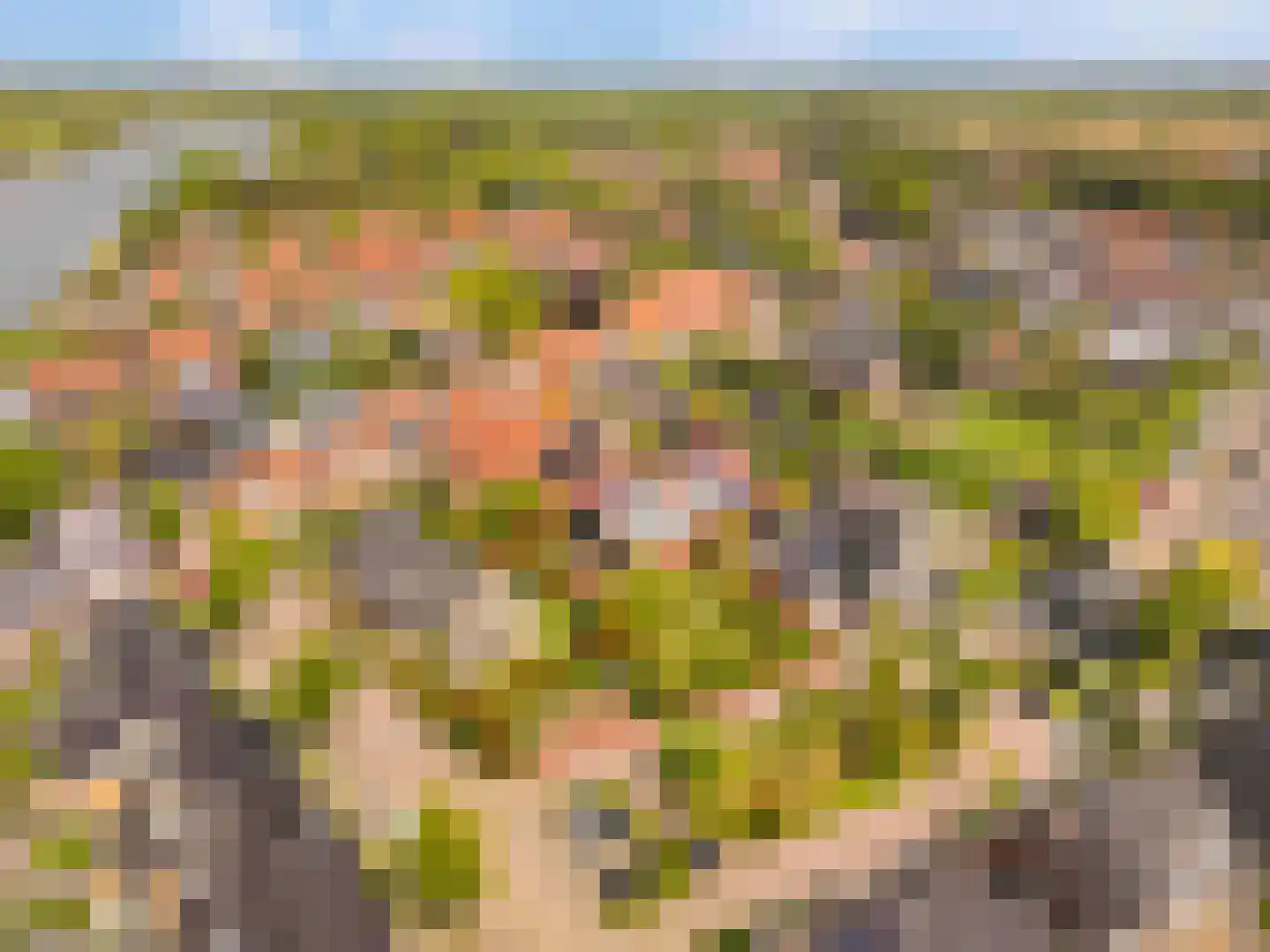 De Gors 1 Heerjansdam thumbnail 71