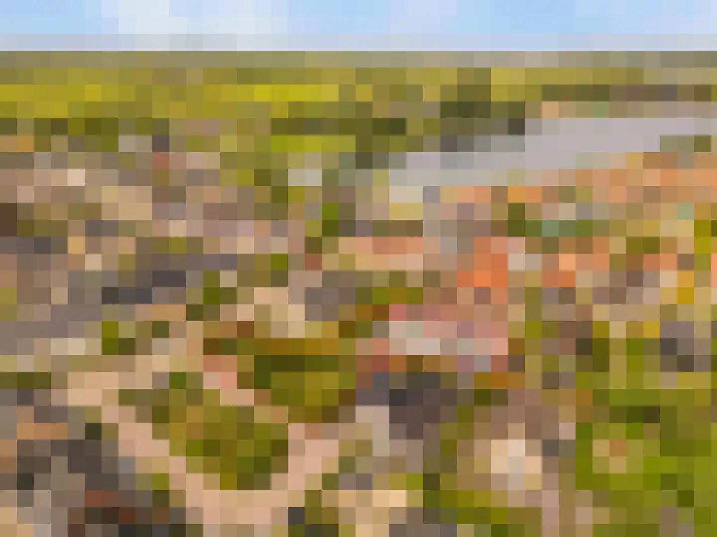 De Gors 1 Heerjansdam thumbnail 72