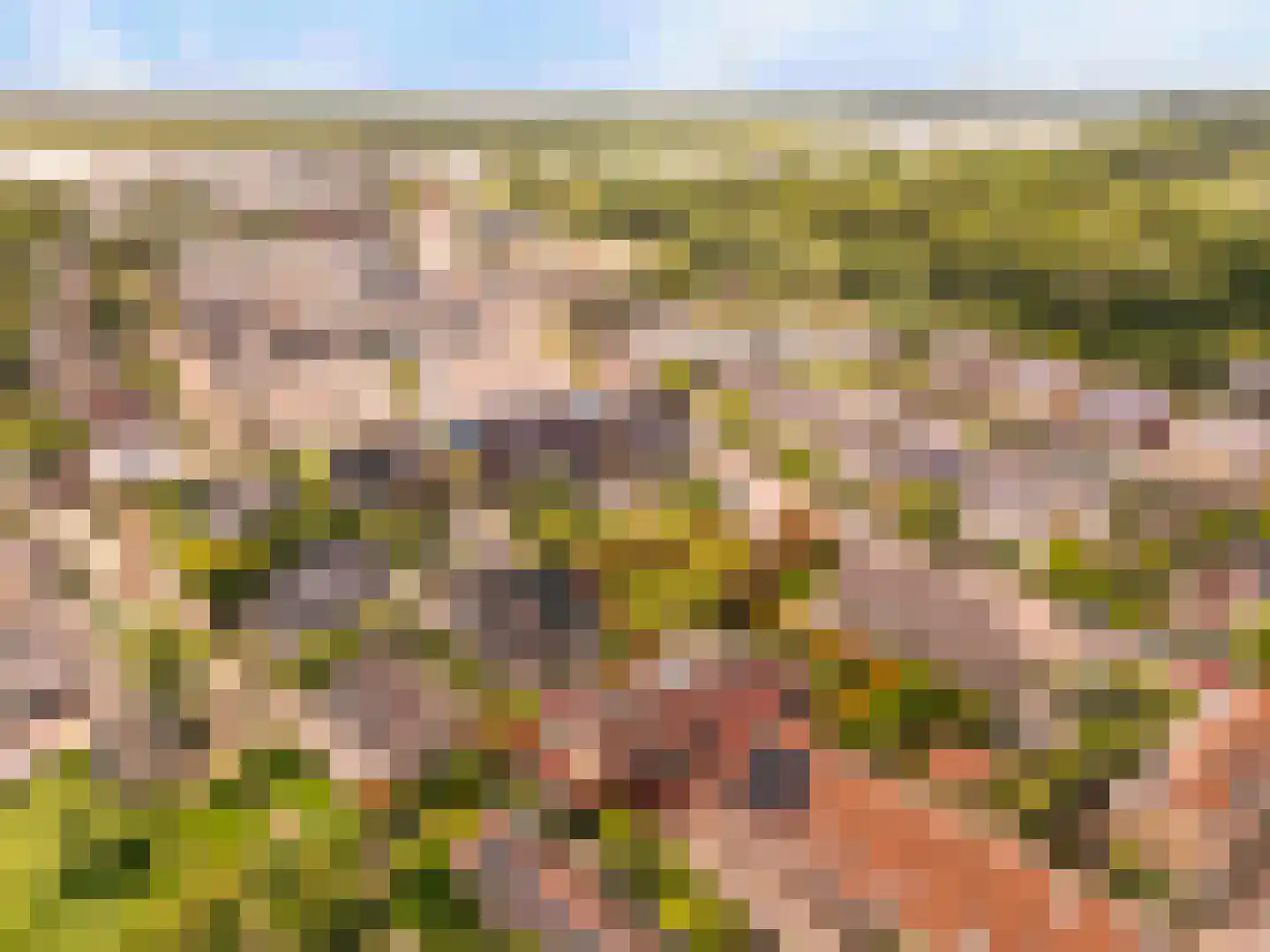 De Gors 1 Heerjansdam thumbnail 73