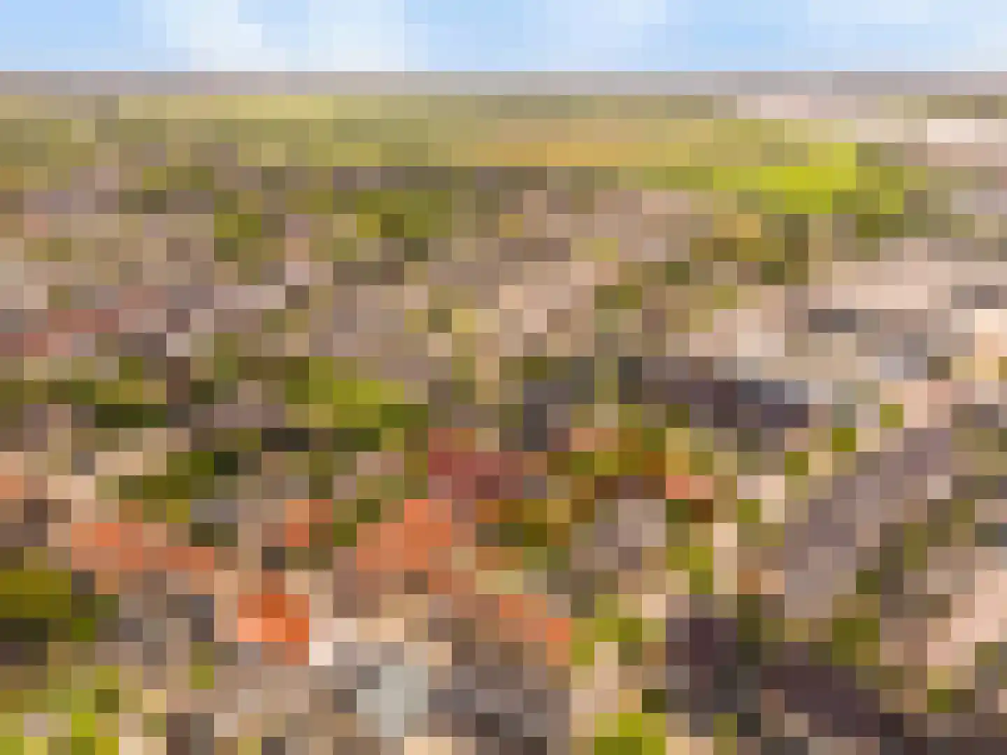 De Gors 1 Heerjansdam thumbnail 74