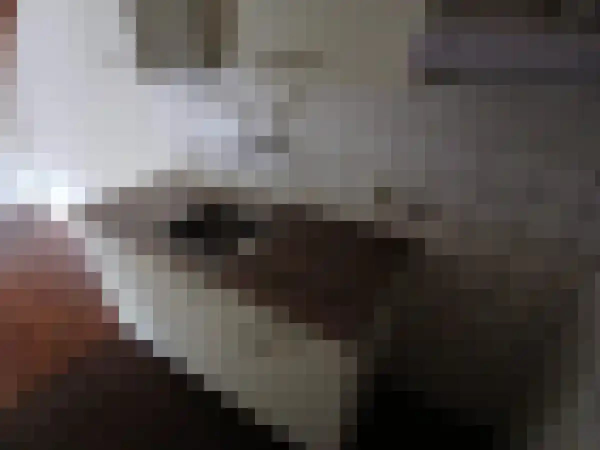 De Gors 12 Almelo thumbnail 5