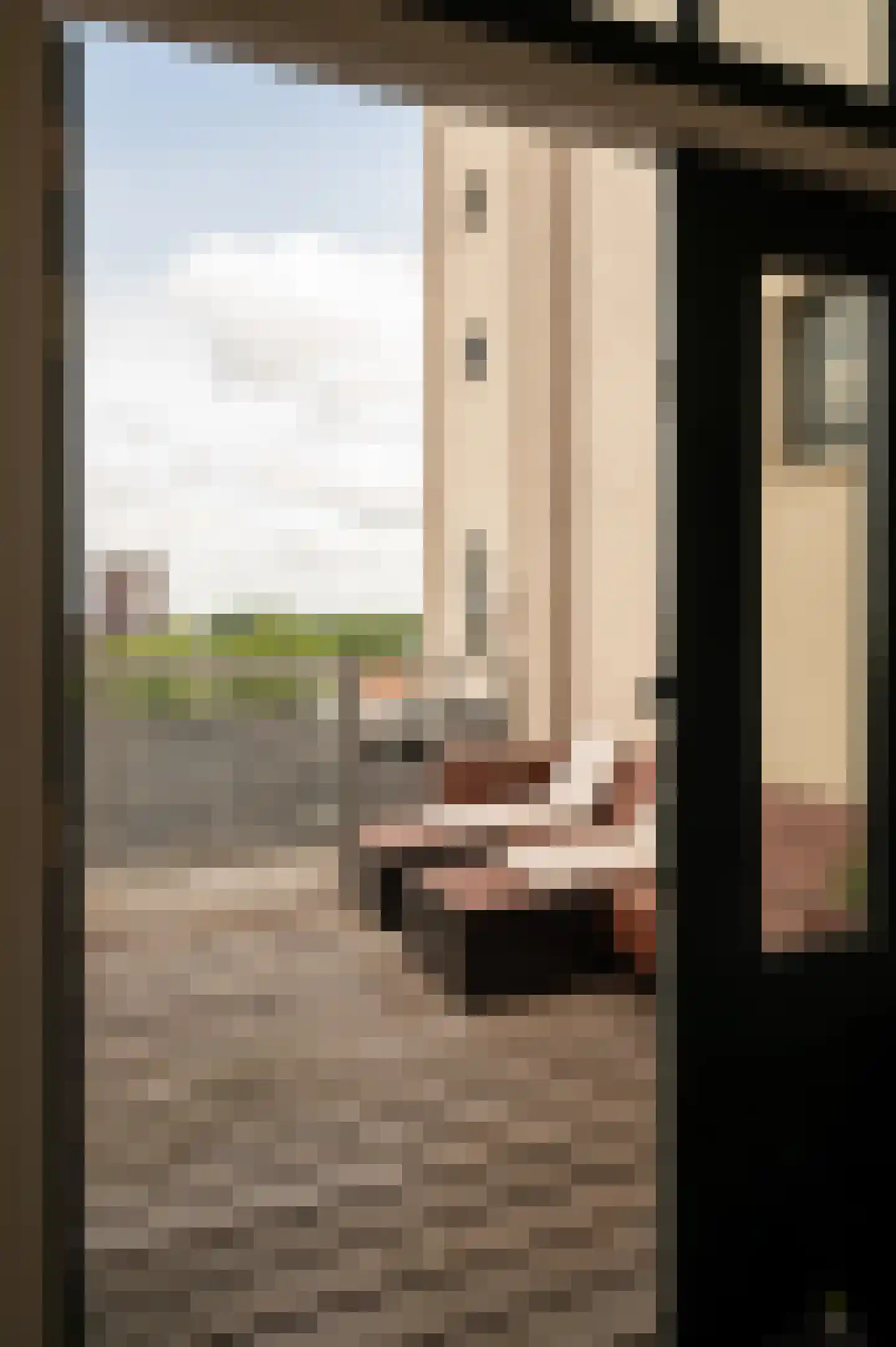De Gortpeller 116 Zaandam thumbnail 41