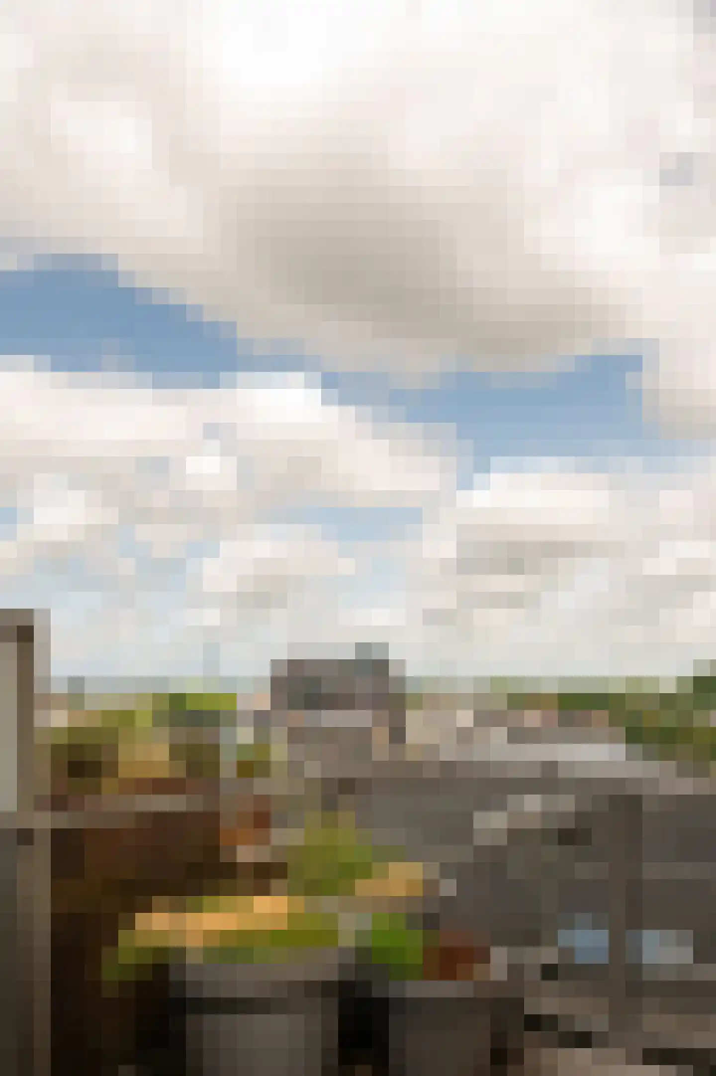 De Gortpeller 116 Zaandam thumbnail 43