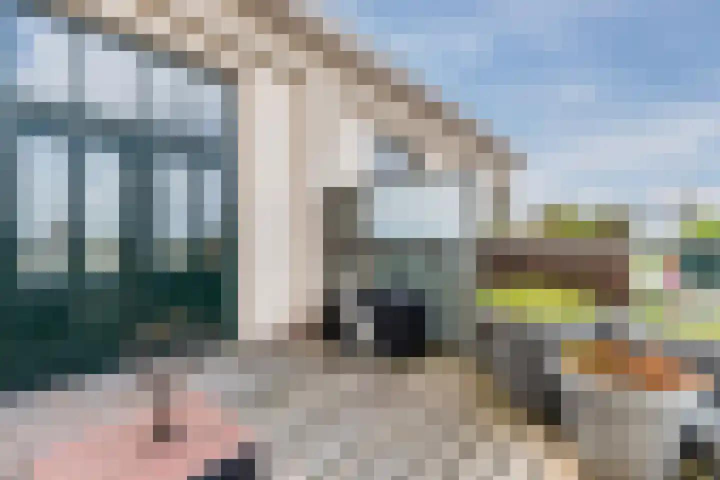 De Gortpeller 116 Zaandam thumbnail 44