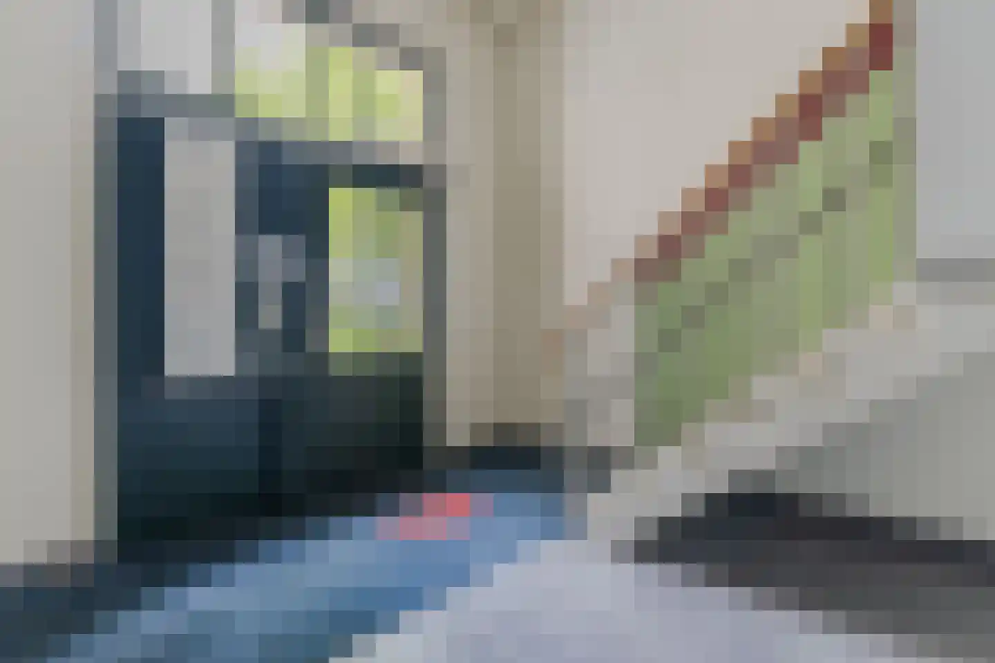 De Gortpeller 116 Zaandam thumbnail 47