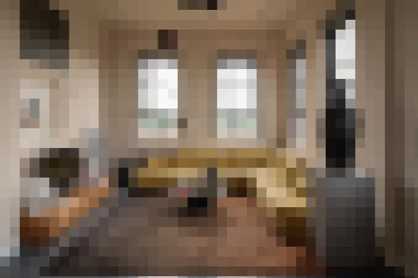 De Gortpeller 116 Zaandam thumbnail 5