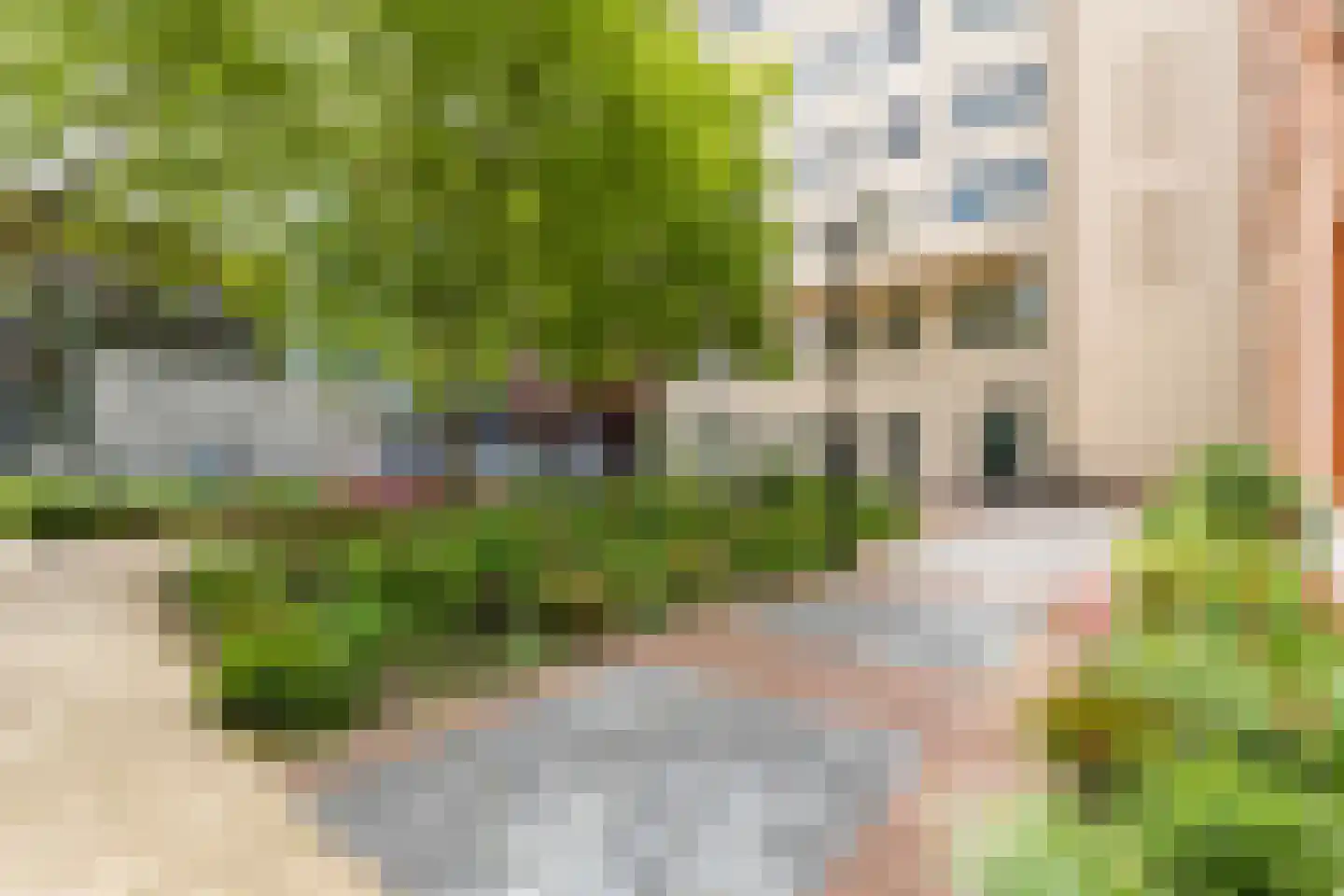 De Gortpeller 116 Zaandam thumbnail 52