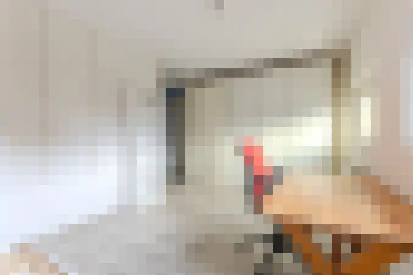 De Gortpeller 31 Zaandam thumbnail 24
