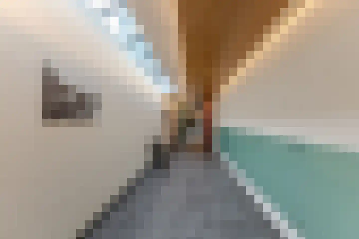 De Gortpeller 31 Zaandam thumbnail 9
