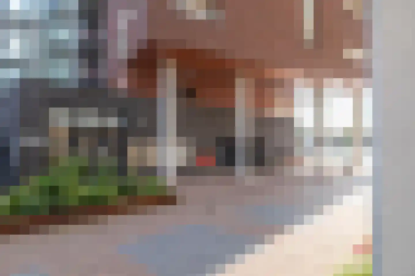 De Gortpeller 57 Zaandam thumbnail 38