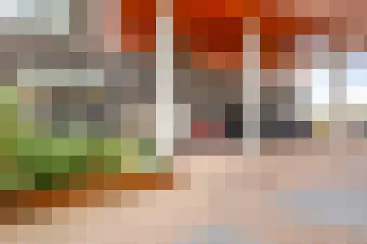 De Gortpeller 61 Zaandam thumbnail 6