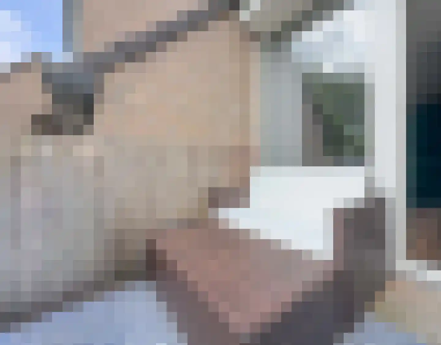 De Gouden Leeuw 152 Venray thumbnail 12