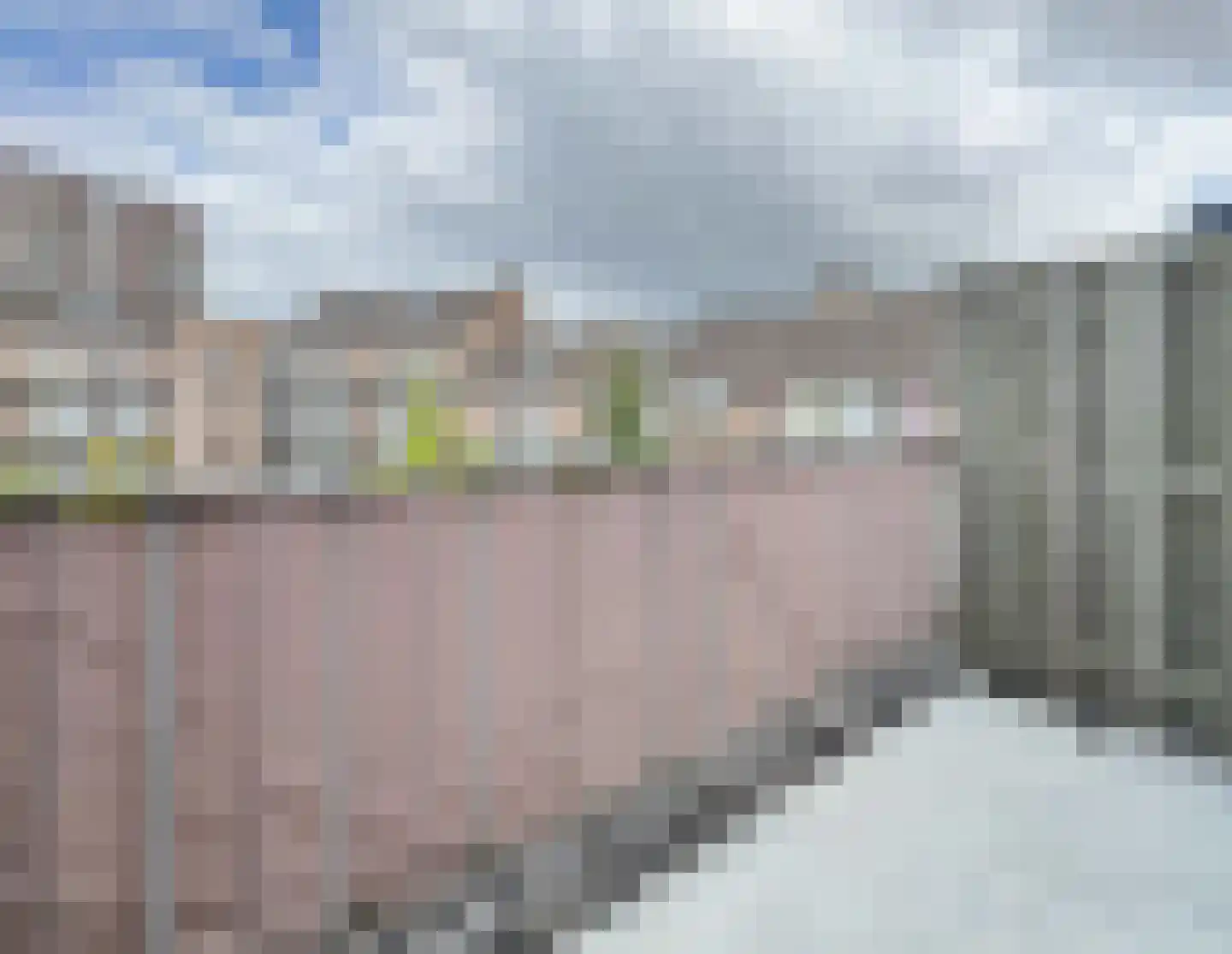 De Gouden Leeuw 152 Venray thumbnail 19