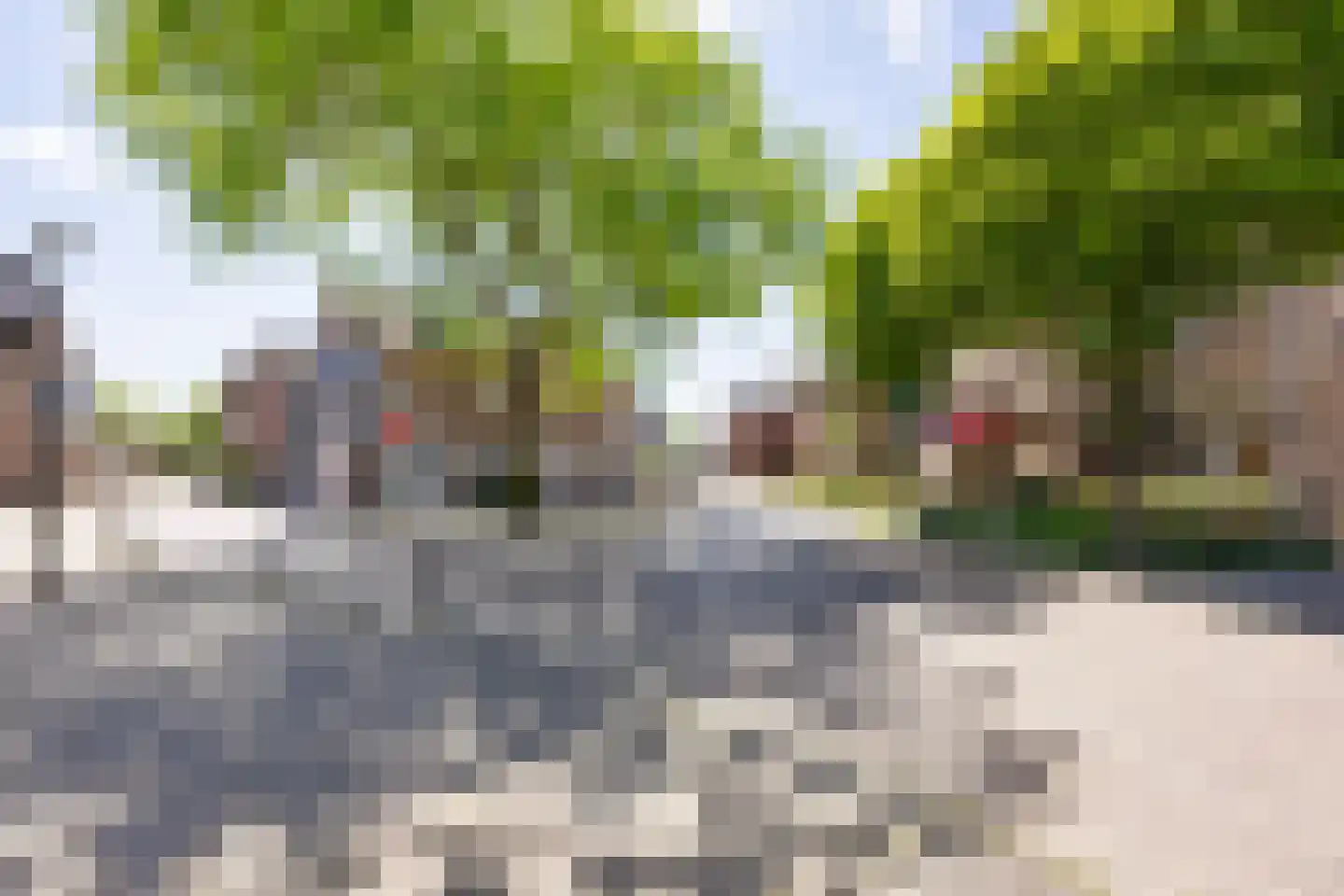 De Gouden Leeuw 152 Venray thumbnail 31