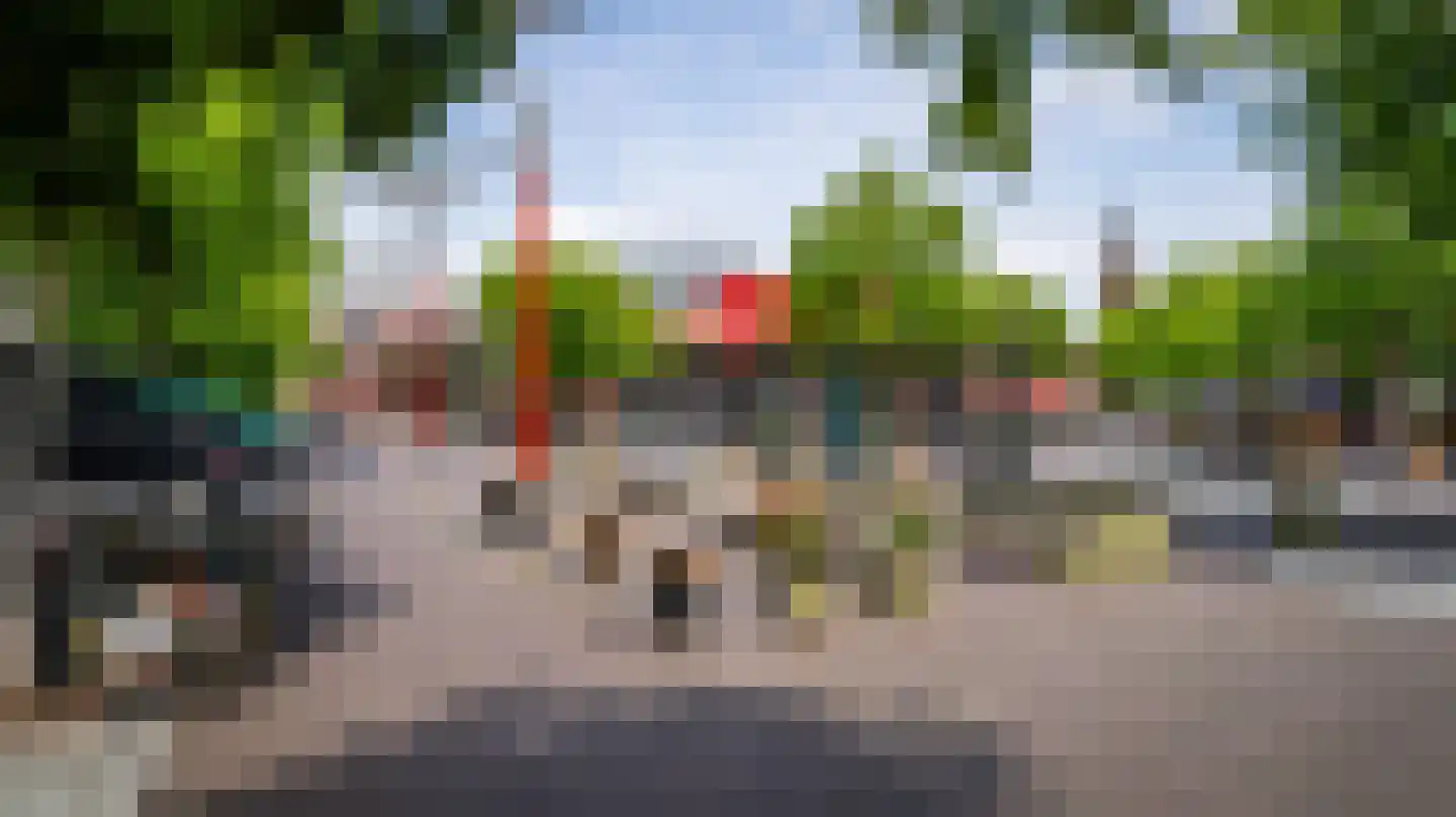 De Gouden Leeuw 152 Venray thumbnail 33