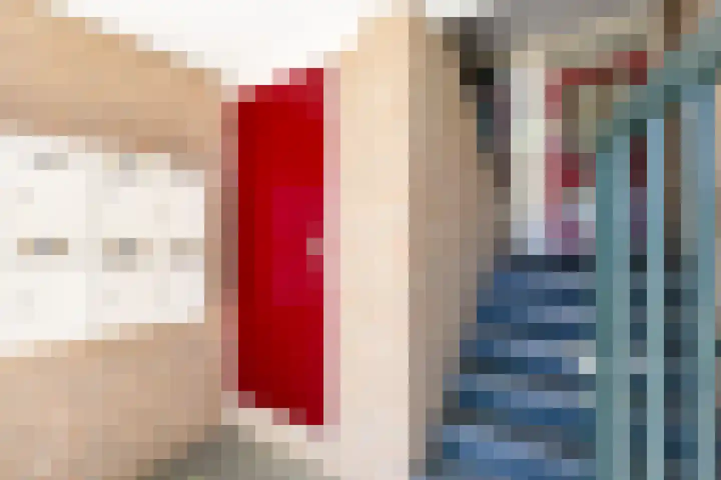 De Gouden Leeuw 152 Venray thumbnail 4