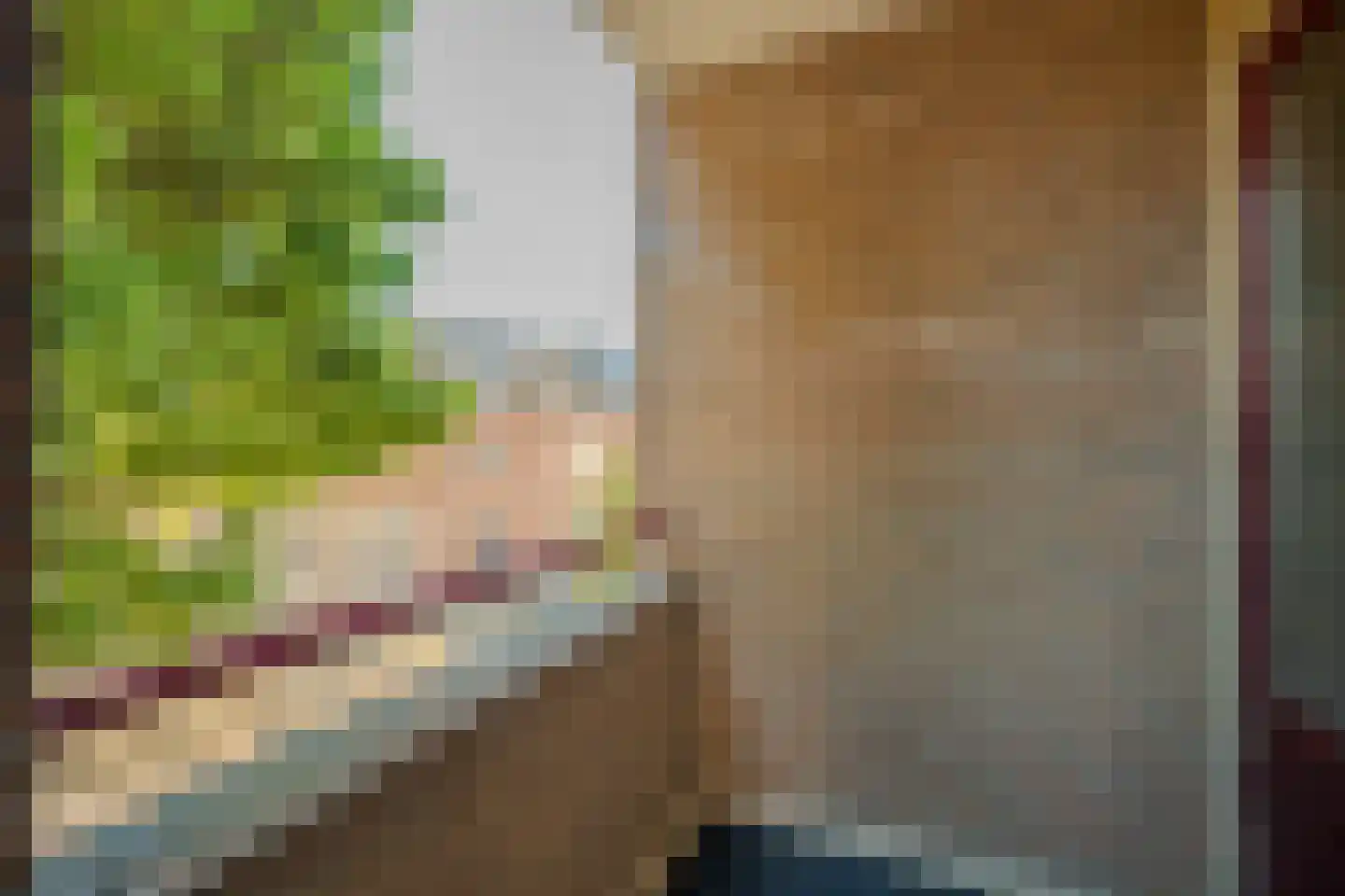 De Gouden Leeuw 156 Venray thumbnail 10