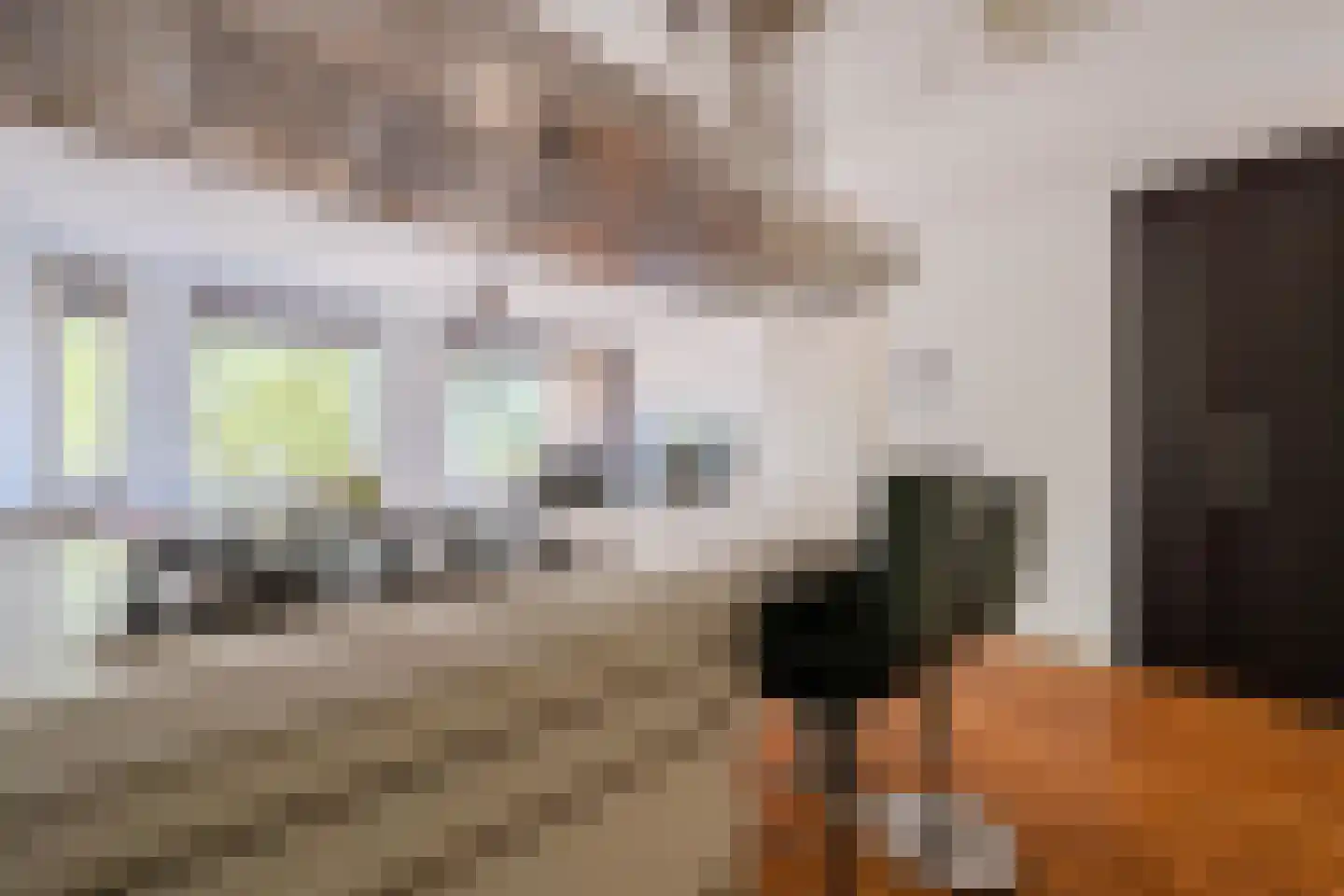 De Gouden Leeuw 156 Venray thumbnail 15